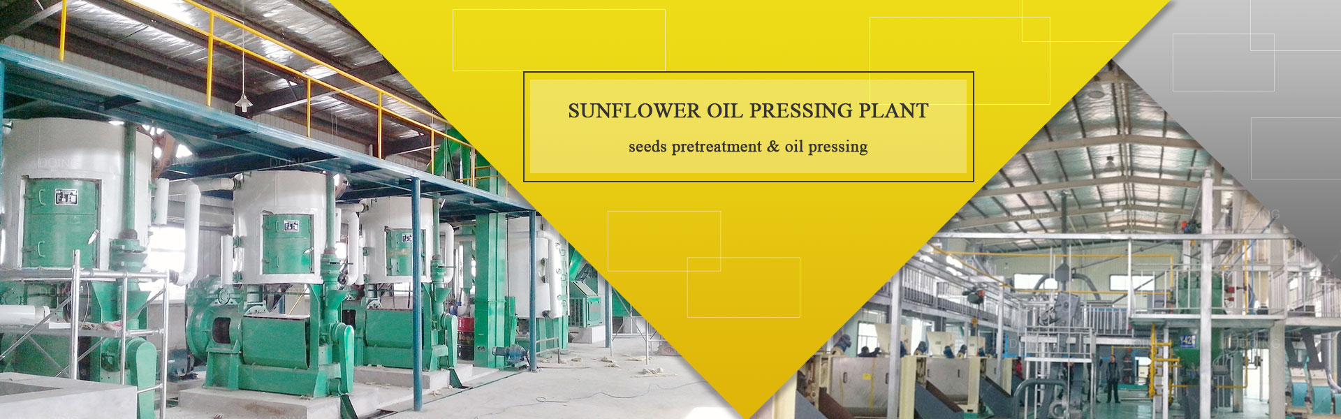 sunflower oil pressing machine