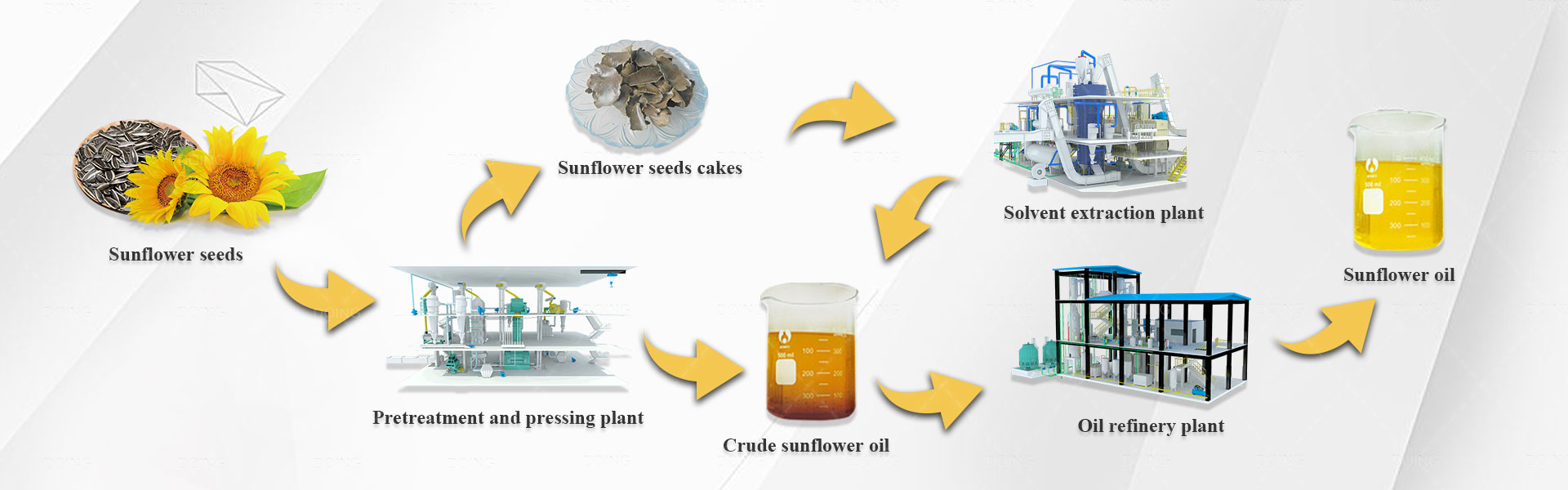 sunflower oil production process